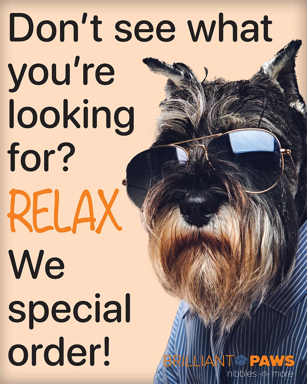 Brilliant Paws in store poster